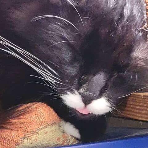 Obie