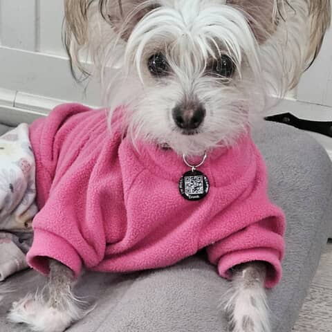 Gia