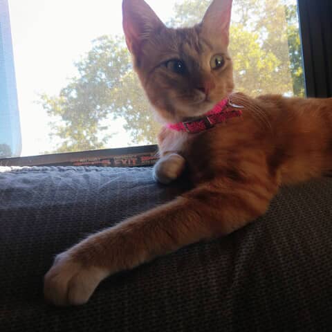 Ms.KiKi