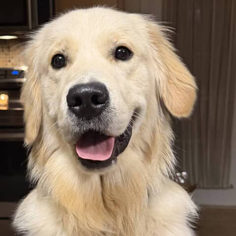 Murphy
