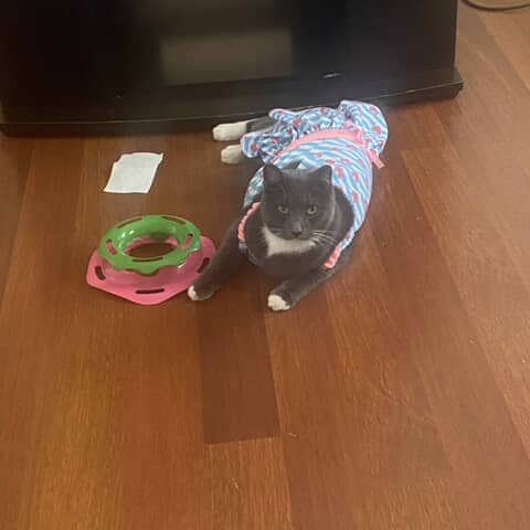 Binky