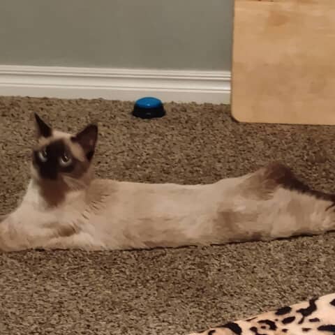 Lucy Furr