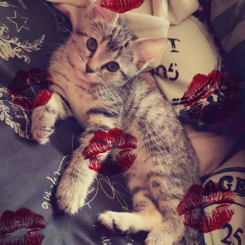 Zoey Dones Saez