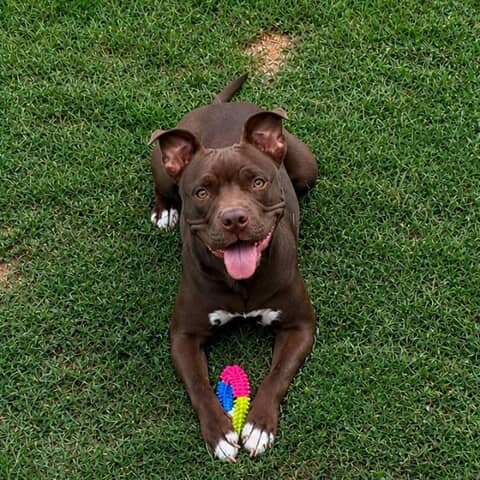 Missy