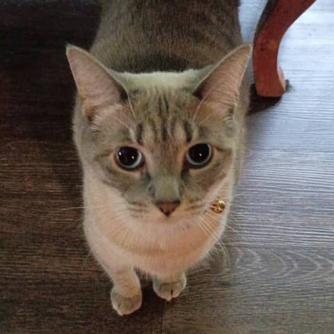 Miss Opal