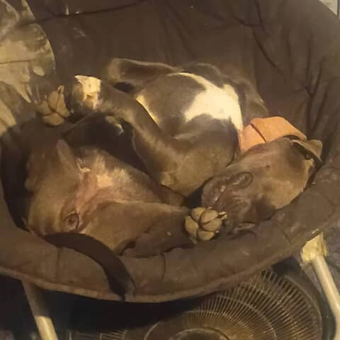Roxy mae
