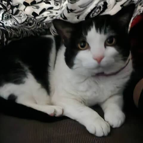 Charlie