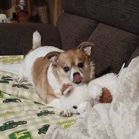 Jack
