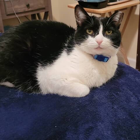 Lucie