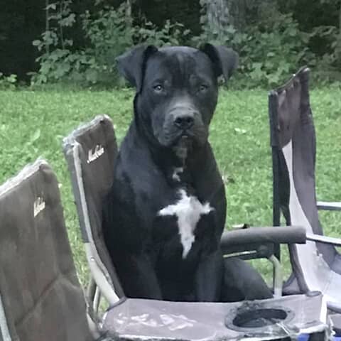 Dozer