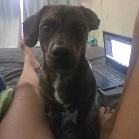 Leo