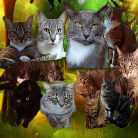 Momma, Sonny, Jack, Gene, Sadie, Lenny, Zander, Claire,