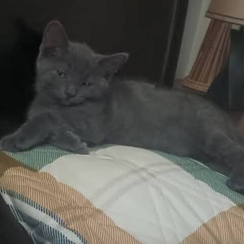 Maisy May Williams