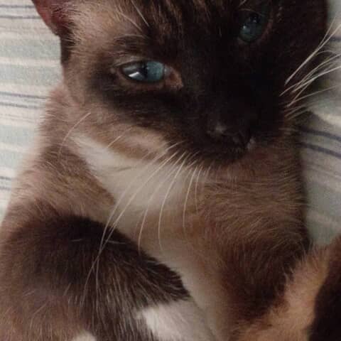 My Baby