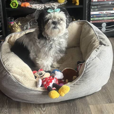Bella