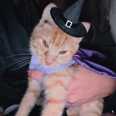 Luna jones