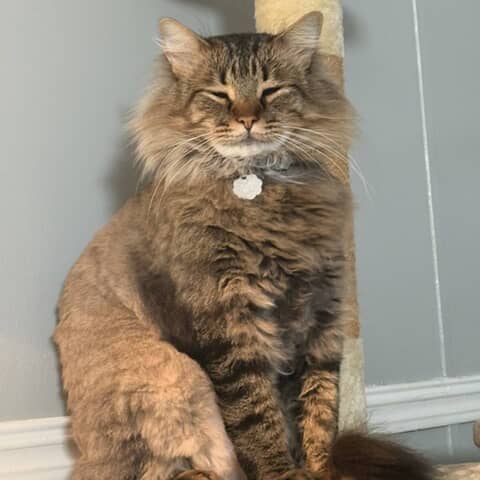Bobby