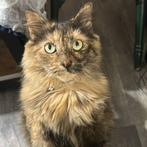 Luna