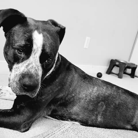 Athena