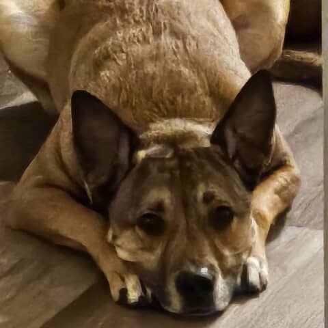 Maggie Mae