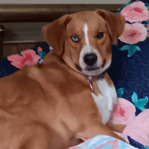 Lucy