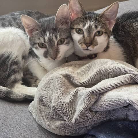 Astrid and Rosie