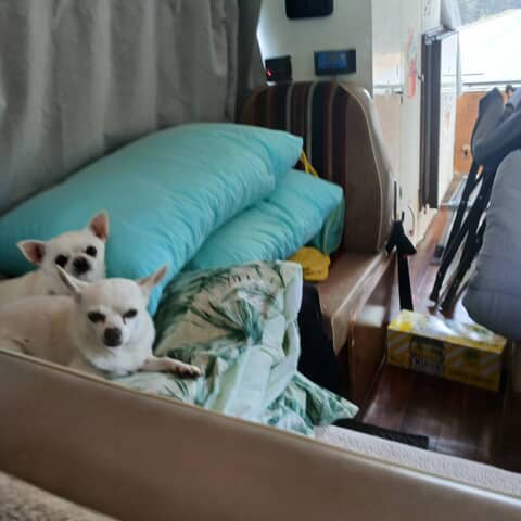 Max