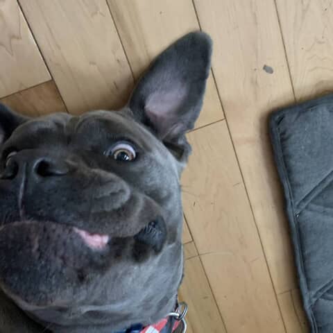 Lucille