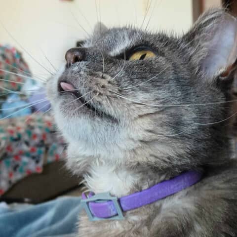 Ittie Bitty