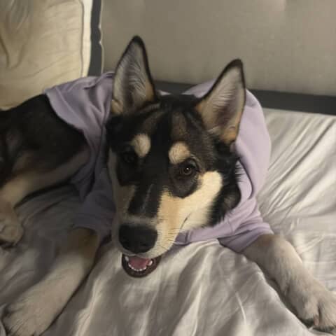 Mika