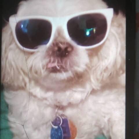 Oliver
