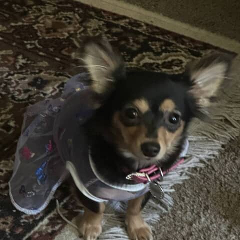 Chloe