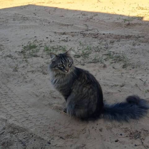 Milo
