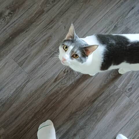 Jack