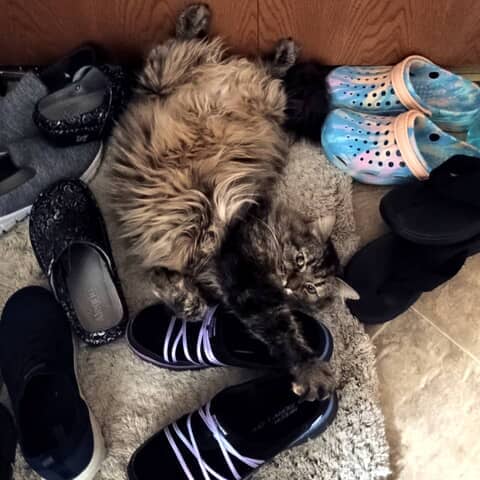 Tabitha