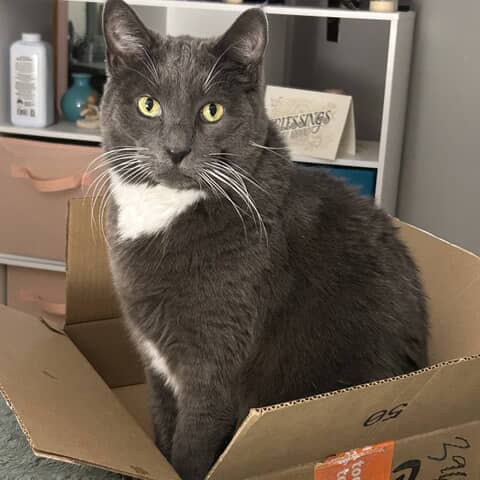 Furb