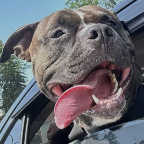 Buster