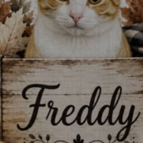 Freddy