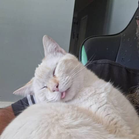Kracker