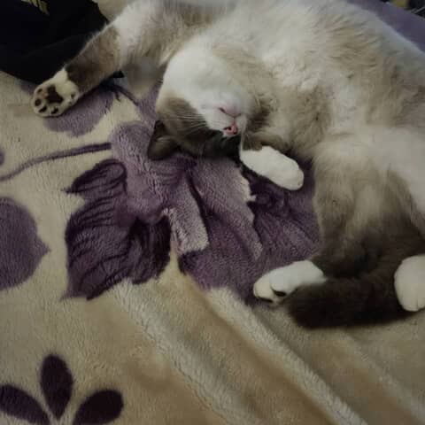 BOO