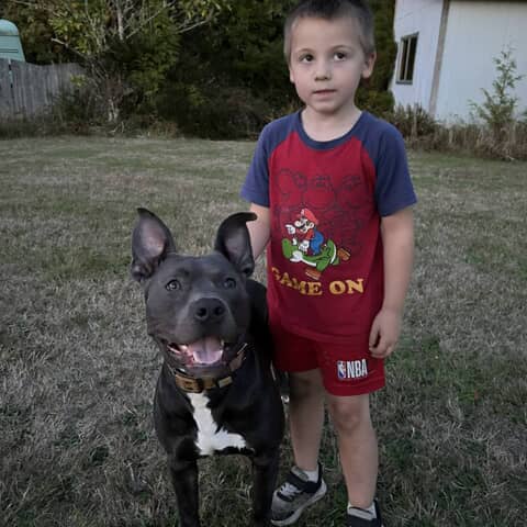 Ruger