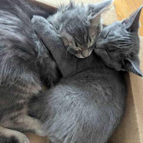 Rue and Os