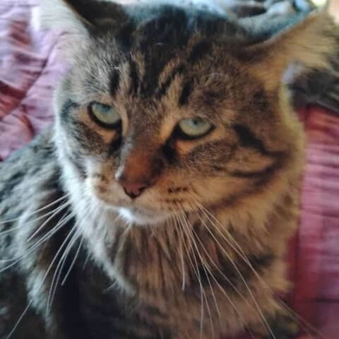 Bobby