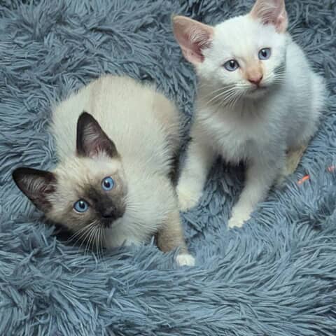 Little One and Willow