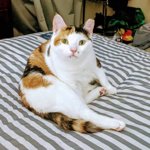 Gabriella