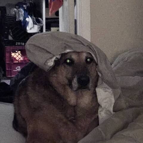 Marley