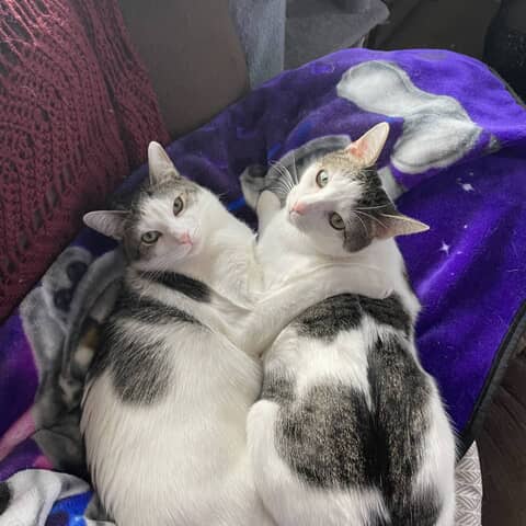 River and Ryan