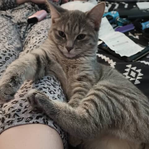 Nala
