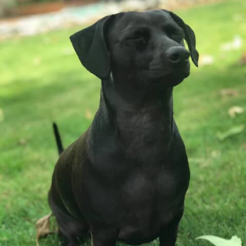 LolaAnn