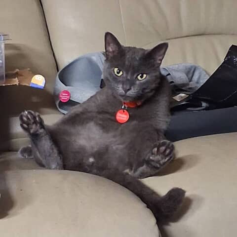 Smokey